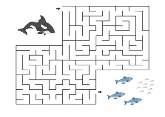 Labyrinth, Maze game for children. Logical puzzle for kids. Quest to find the right path for a Killer whale to the fish. Vector illustration.
