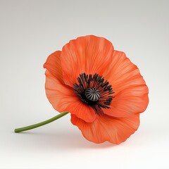 A vibrant red poppy flower with delicate black center and green stem, symbolizing remembrance and gratitude, set against a clean white background.