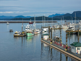 Part of a large coastal marina with yachts and commercial fishing boats, floating docks, service stations, and bicycles on an overcast morning in Sitka, Alaska, with light digital oil-painting effect