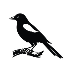 Elegant silhouette myna bird vector illustration, perfect for nature-themed designs, print, web, and creative projects.