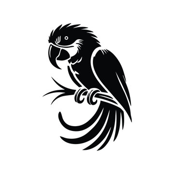 Hand drawn corella parrot outline. Vector bird black ink drawing isolated on white background. Graphic animal illustration.