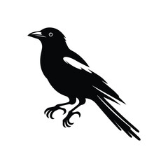 magpie bird. vector illustration .flat style, profile side.