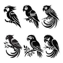 Parrot bird silhouette vector design