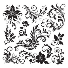 Fototapeta premium Flower design elements silhouette