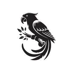 wild tropical parrot bird nature silhouette vector illustration design