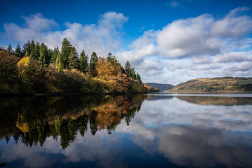 Fototapeta premium Autumn colours on foliage of trees growing on the shores of Lake Vrynwy