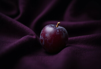 A single ripe plum rests on a luxurious purple fabric  creating a dramatic still life.