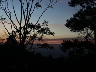 Fototapeta premium View