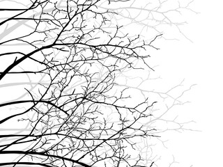 Black Branch Tree or Naked trees silhouettes set. Hand drawn isolated illustrations.