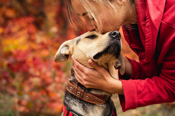 A young woman hugs kisses mix breed dog in the autumn park. A female pet owner walks with her...