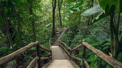 The walking path to La Fortuna waterfall in a biological reserve part of the Arenal Volcano National Park - Costa Rica
