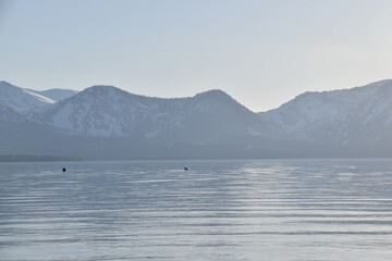 The turquoise azure blue Lake Tahoe and the surrounding mountains and forest 