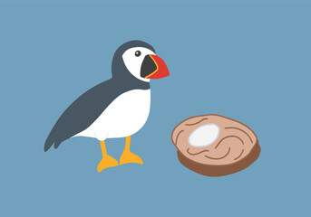 Cute Cartoon Puffin. Arctic, Polar animal. Creature image icon. Vector Illustration.