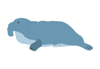 Cute Cartoon Sea Elephant seal. Arctic, Polar sea animal. Creature image icon. Vector Illustration.