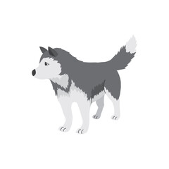 Cute Cartoon Husky Dog. Arctic, Polar animal. Creature image icon. Vector Illustration.