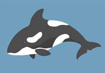 Cute Cartoon Killer Whale. Arctic, Polar sea animal. Orca image icon. Vector Illustration.