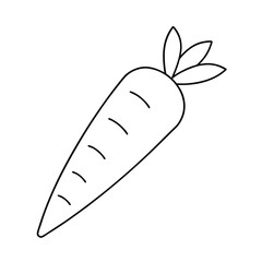 Carrot line art