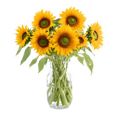 Obraz premium Vibrant Sunflowers in Glass Vase Against White Background
