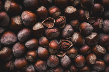 Close-Up of Fresh Hazelnuts in Natural Brown Tones for Autumn Themes