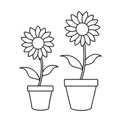 flower in a pot