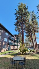 a cool hotel and outdoor bar at Lake Tahoe
