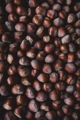 Rustic Arrangement of Hazelnuts Highlighting Natural Shells and Warm Tones