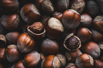 Fresh Hazelnuts with Textured Shells Captured in Warm Autumn Tones
