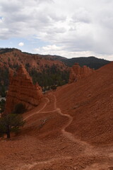 Stunning hiking trails in Bryce Canyon National Park with its red, crimson and orange rock...