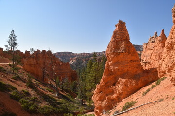 Stunning hiking trails in Bryce Canyon National Park with its red, crimson and orange rock formations in utah