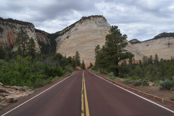 The road going through Zion National Park's canyon