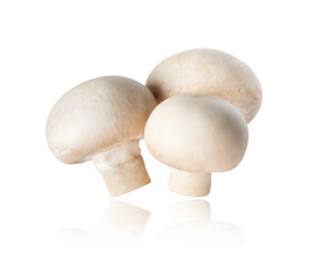 Three champignons (Agaricus) close-up isolated on a white background