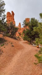 Hiking among the trippy rock and sand formations of Bryce Canyon National Park in Utah, USA