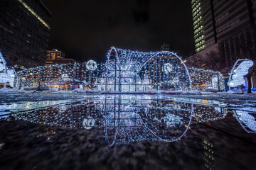 北海道　札幌　イルミネーション　ホワイトイルミネーション　冬　夜