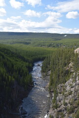 Stunning landscapes with old pine forests, rivers, valleys and waterfalls in Yellowstone National Park in Wyoming and Montana