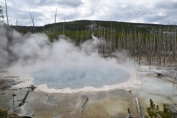 Geothermal volcanic activity around the hot springs and geysers of Yellowstone National Park