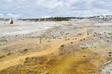 Geothermal volcanic activity around the hot springs and geysers of Yellowstone National Park