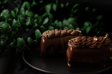 Delicious mousse cakes coated in chocolate glaze