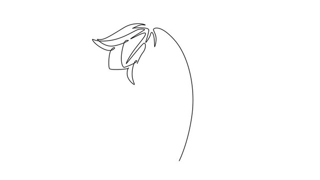 Animated self drawing of continuous line draw of beauty fresh perenial plant for home art wall decor poster print. Printable decorative bluebell flower card ornament. Full length single line animation