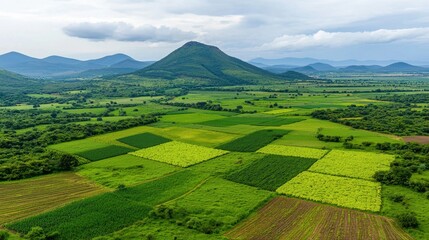 Obraz premium Green Fields and Mountain Landscape for Sustainable Farming