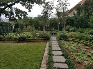landscaping pathway layered plants and flowers