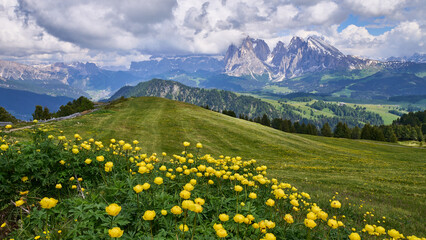 Seiser Alm, Südtirol, Italien