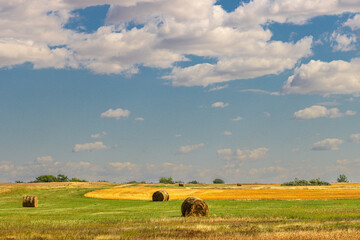 Hay bales in a Saskatchewan field