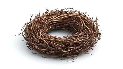 Obraz premium A circular birds nest made of twigs and branches