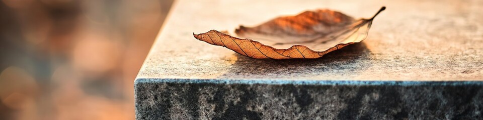 dried leaf rests still
