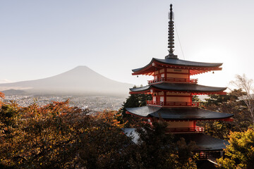 Obraz premium Chureito pagoda and Fuji mountain in autumn, Japan.