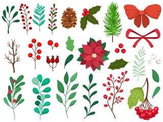 Set of different winter plants. Collection of berries, branches, illustration of poinsettia flower, cones and others.