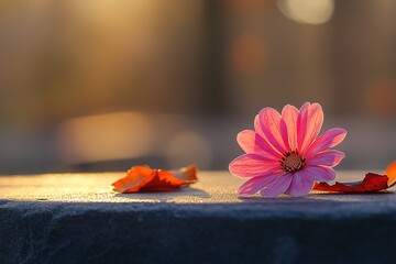 single flower rests in silence