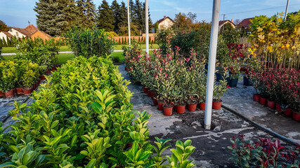 Lush garden center with vibrant potted plants, ideal for spring planting, showcasing biodiversity...
