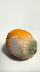 A moldy orange isolated on a white background, symbolizing food spoilage and waste issues