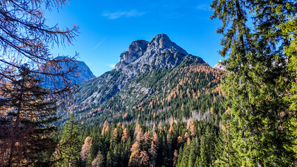 Scenic view of a mountain peak surrounded by autumnal trees under a clear sky, perfect for...